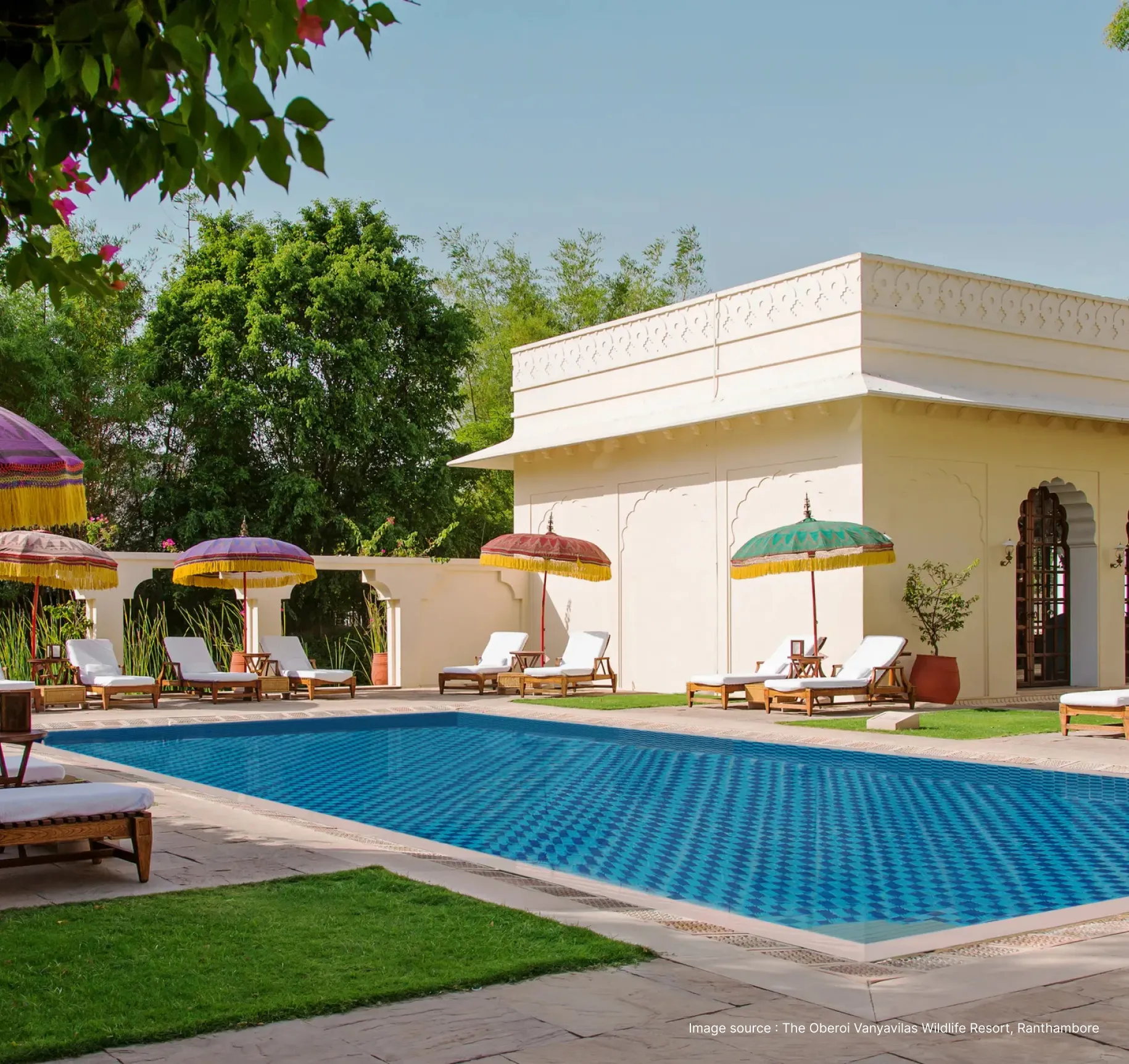 poolside view of oberoi vanyavilas with colorful umbrellas shading lounge chairs