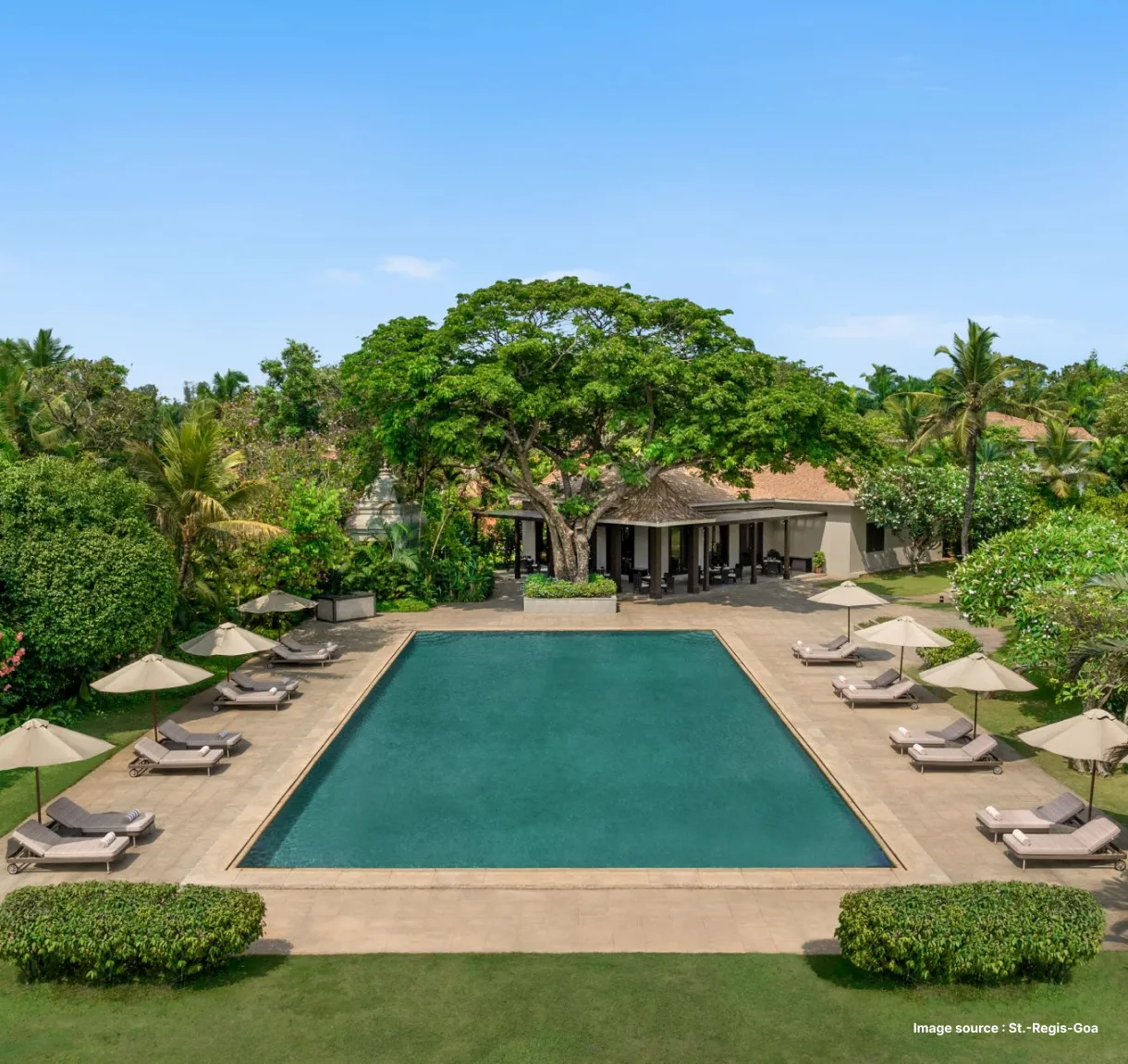 pool view of st regis in goa with a clear pool and beige lounge chairs on either side