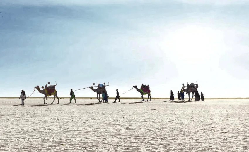 Rajasthan White Desert Safari