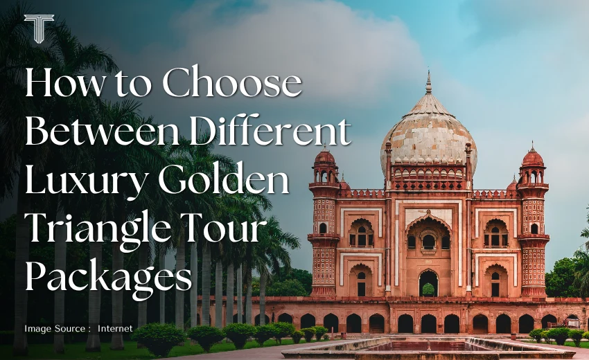500653 A - golden triangle tour 4 nights