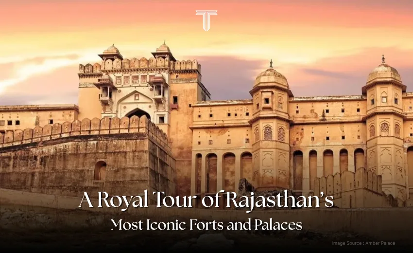 500793 A - luxury royal tour of amber palace