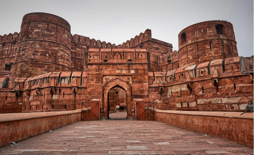 Agra Tiger Safari Golden Triangle