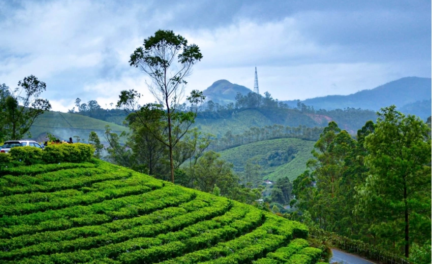 Munnar Hidden Gems