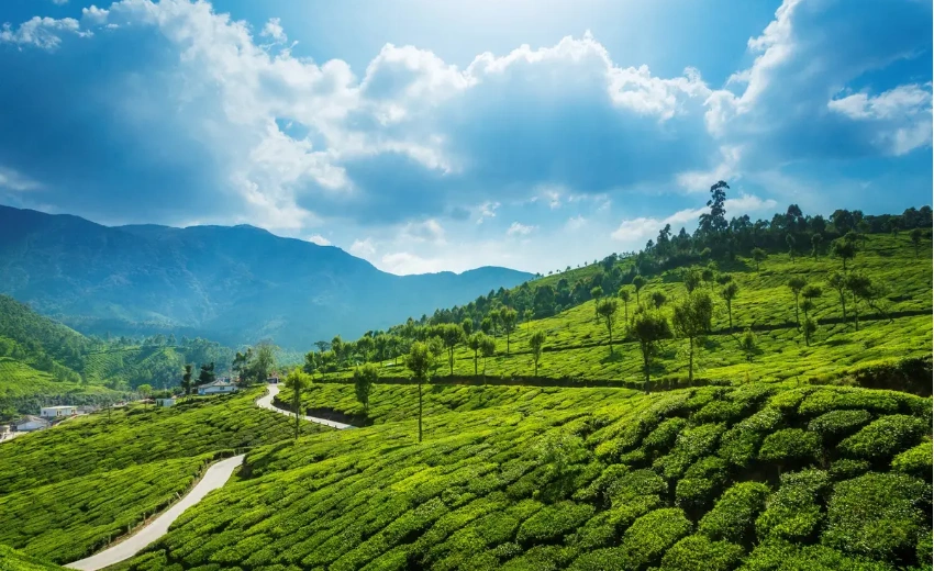 Munnar,kerala Backwaters