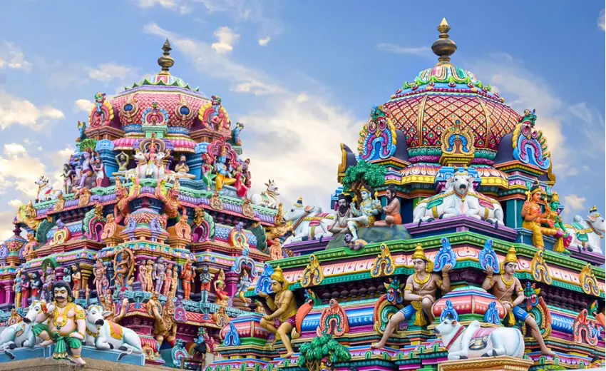 Chennai Pink gems of south