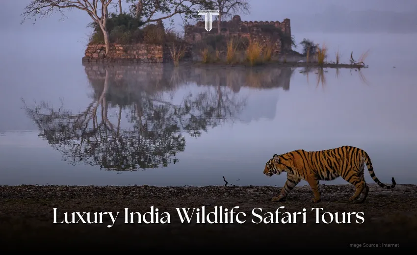 500027 A - ranthambore national park - india wildlife safari tours