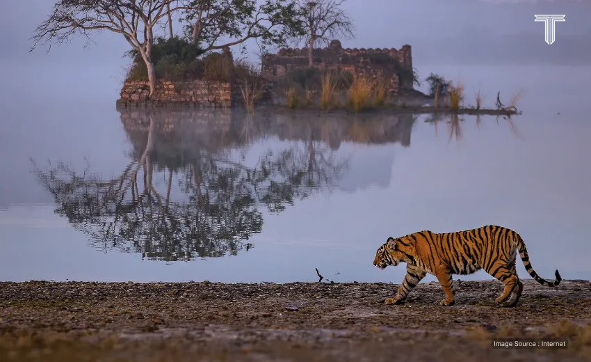 ranthambore national park travel in india luxury tour
