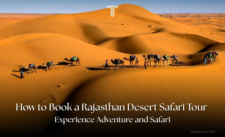 500313 A - luxury rajasthan desert safari tour