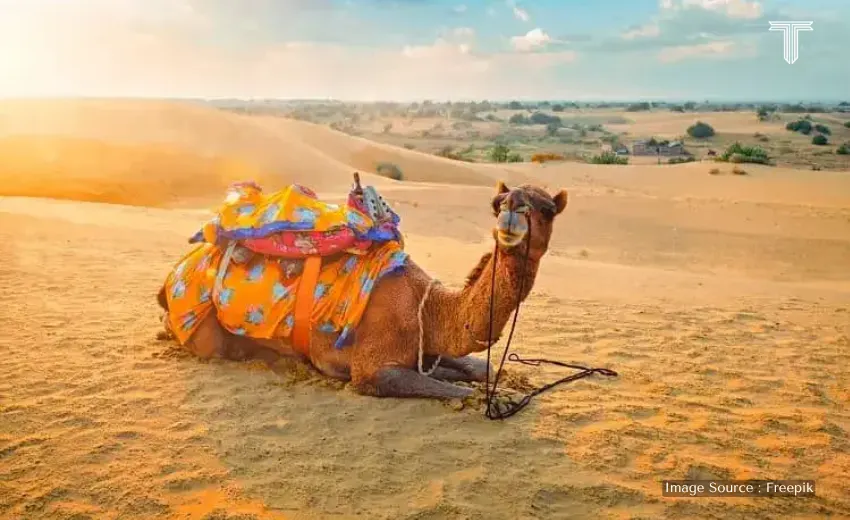 Luxury Rajasthan Itinerary safari