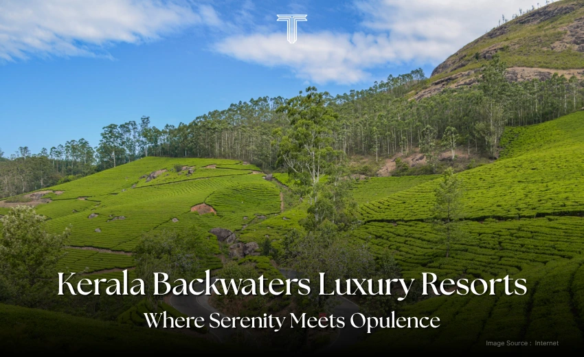 500684 A - kerala backwaters luxury resorts at munnar for travelers