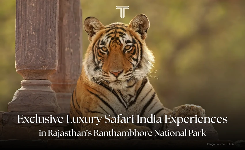 500685 A - ranthambhore - luxury safari india tour for travelers