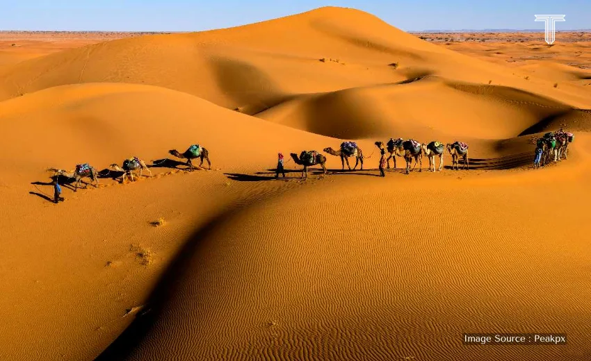 camel desert safari at rajasthan for travelers