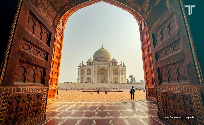 private jet tours of taj mahal for travelers