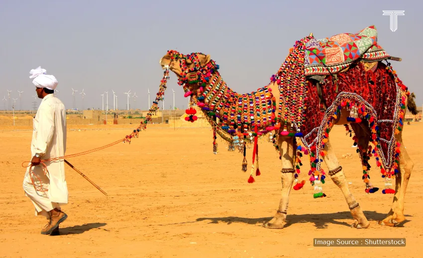 A cinematic shot of the Thar desert in Rajasthan
