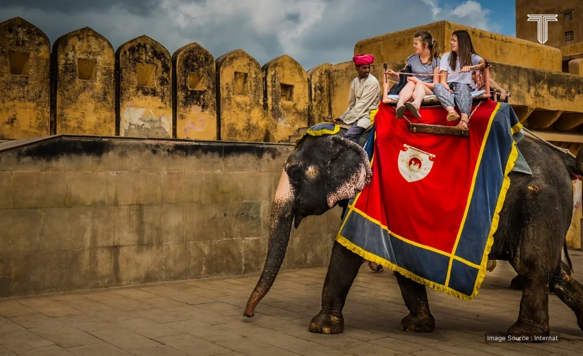 best golden triangle tour packages