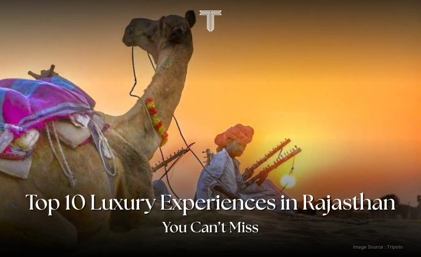 500792 A - royal rajasthan tour camel safaris in desert