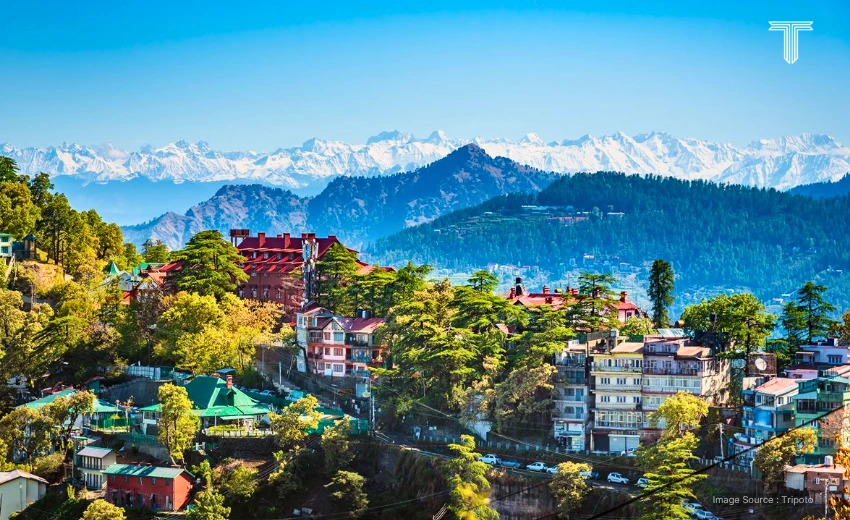 shimla, himachal pradesh - india family vacation