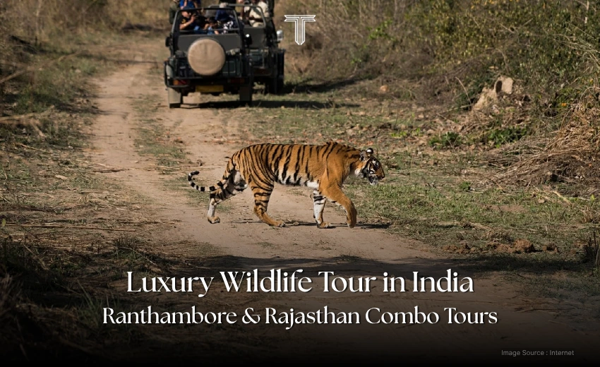 1197 A - Ranthambore wildlife tour in india