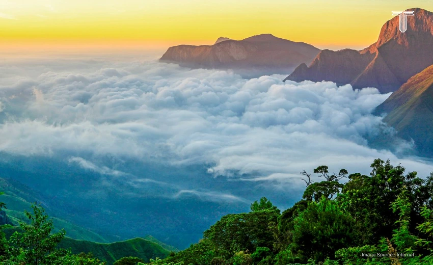 kerala travel packages