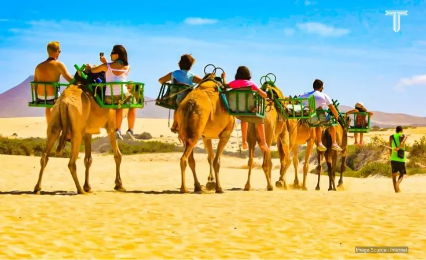 luxury travel tour