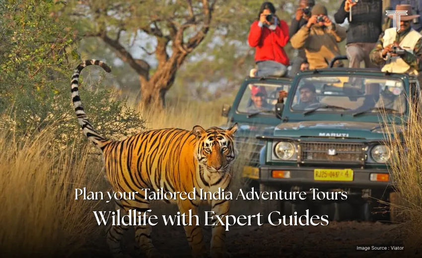 30013 A - Ranthambore National Park india adventure tours