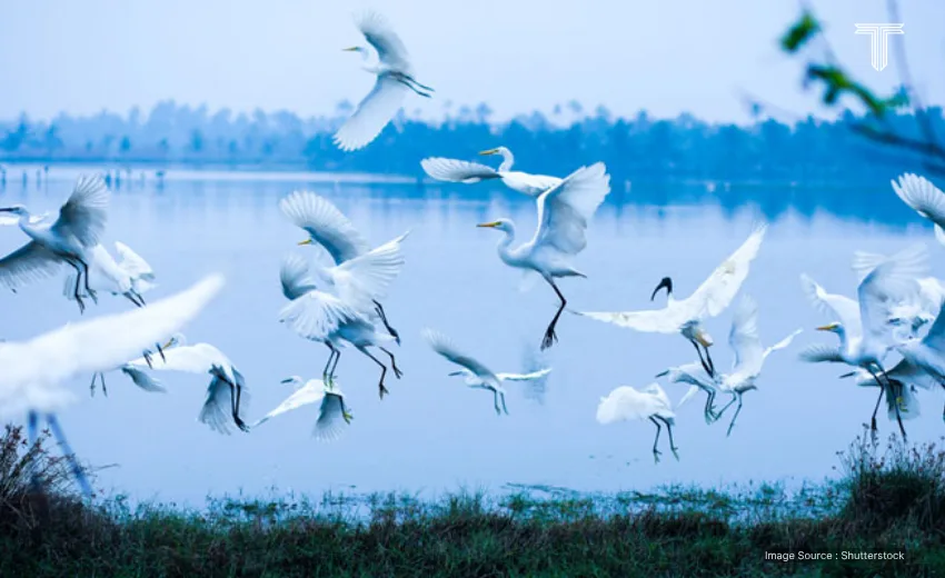 india adventure tours