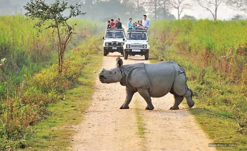 india adventure tours