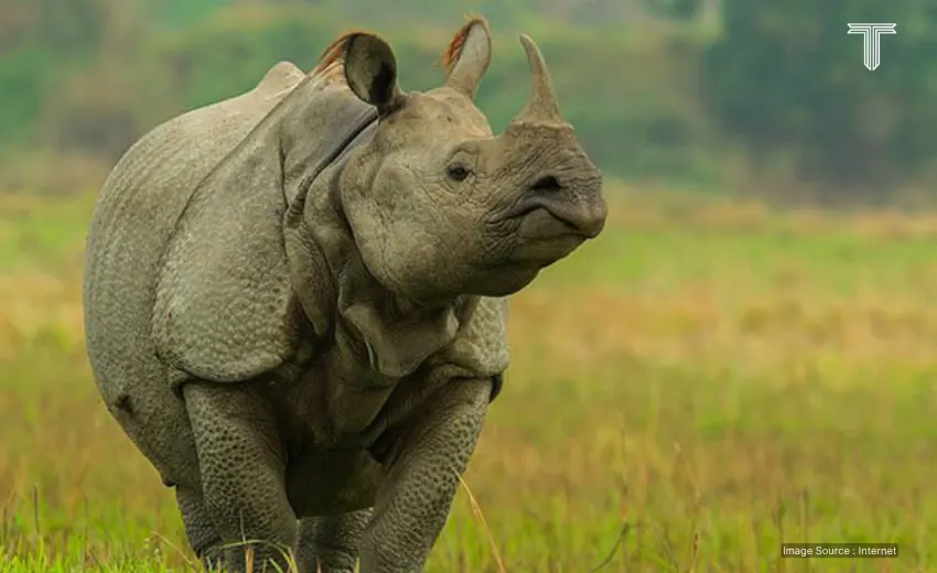 Kanha National Park - tour india