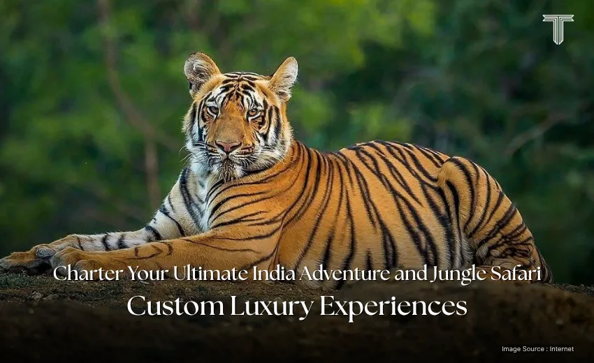 31010 A - Bengal tiger - explore tours
