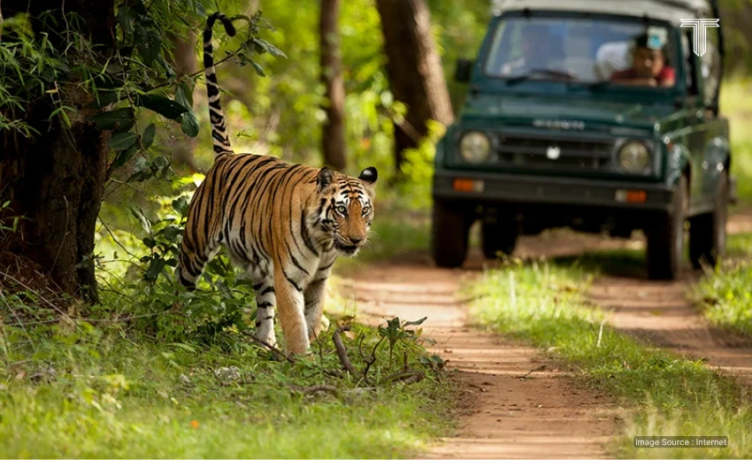  private luxury safari