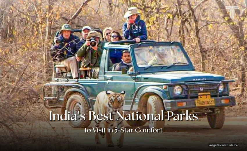 32012 A - open-top Jeep in Bandhavgarh - best national parks to visit