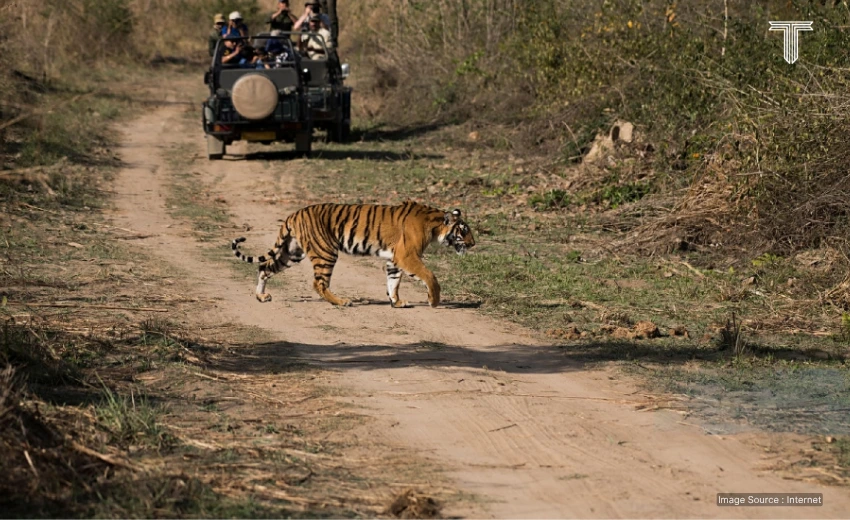  Ranthambore - best national parks to visit