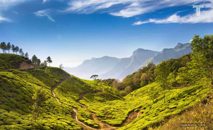 All curated travel itineraries in India.
