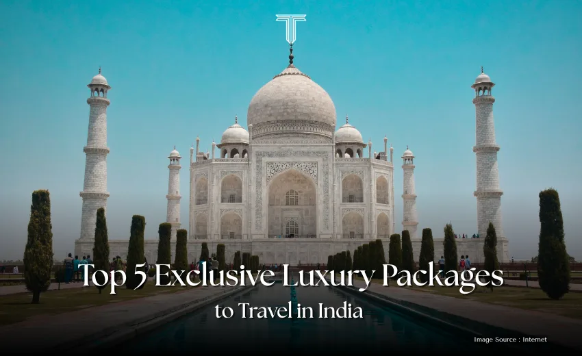 500804 A - taj mahal luxury packages tour for travelers