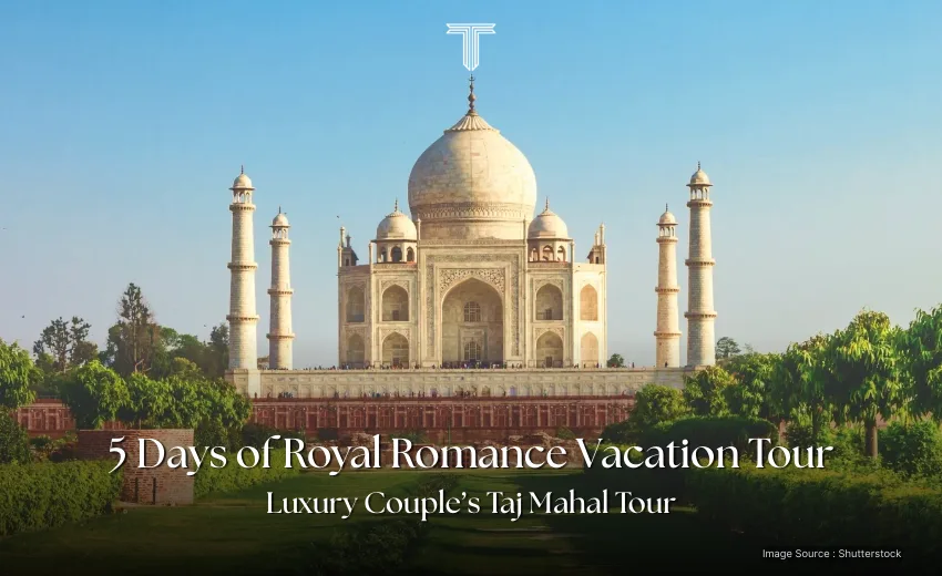500898 A - Taj mahal vacation tour