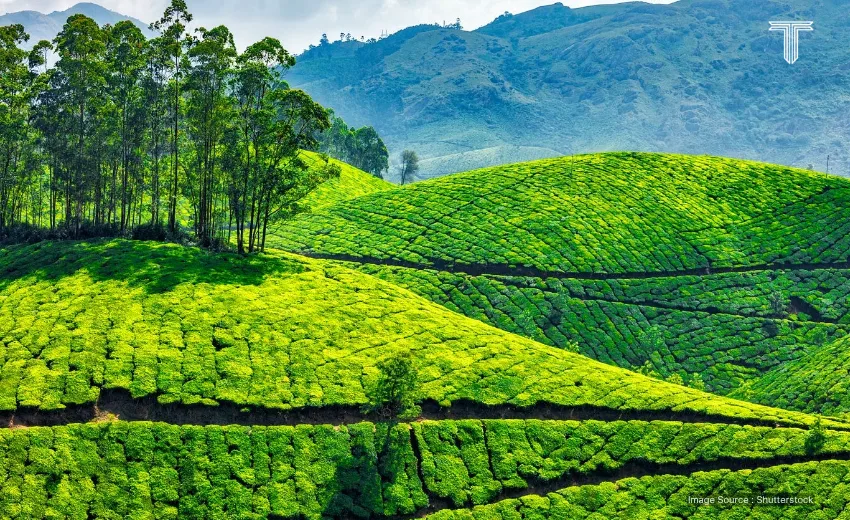 best places in india to see