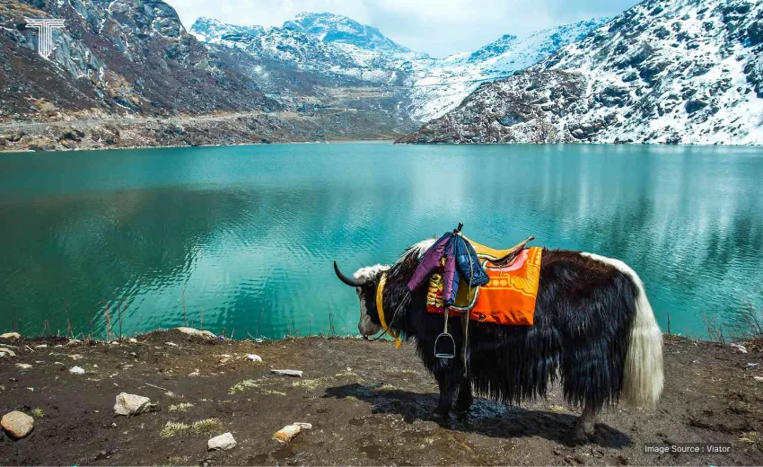  Sikkim - best places to be visited in india