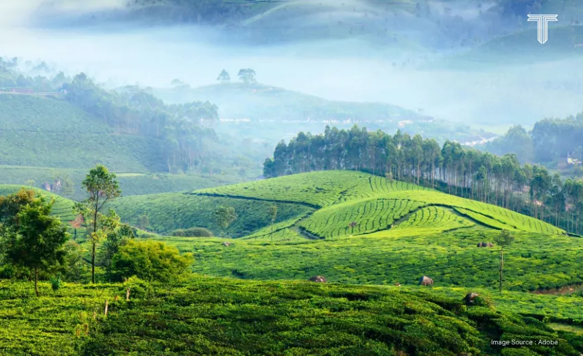 cool places in india to visit