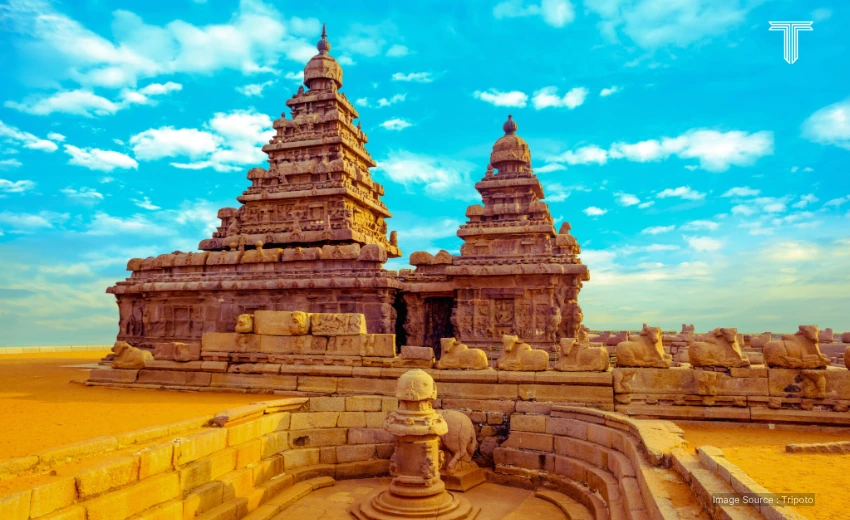 shore temple, a spiritual tour packages