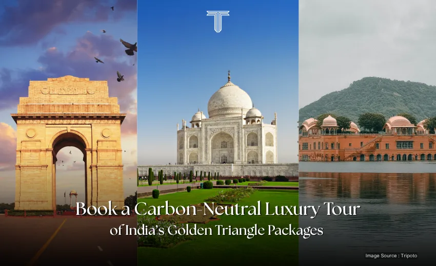 71010 A golden triangle packages