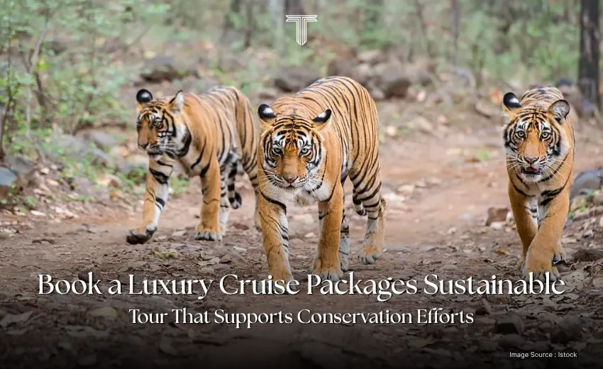 71025 A - Kerala - luxury cruise packages