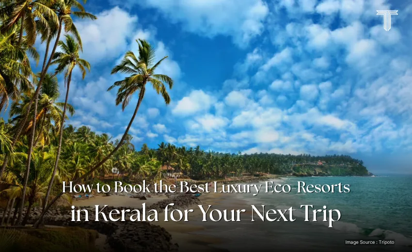 71039 A - Varkala Beach kerala - eco luxury resorts