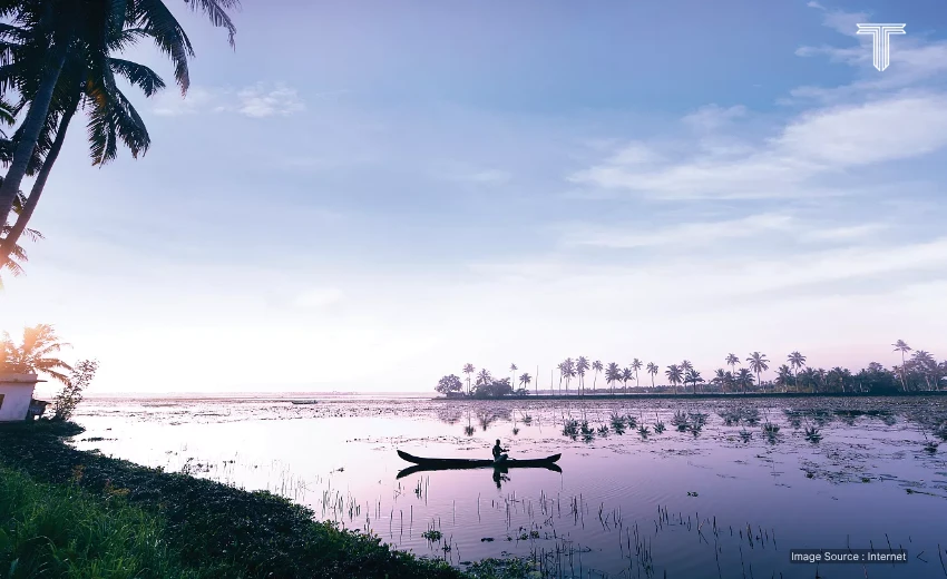 Beaches, Backwaters, Sands, Forests, Eco Luxury Resorts, Nature, Luxury Rooms