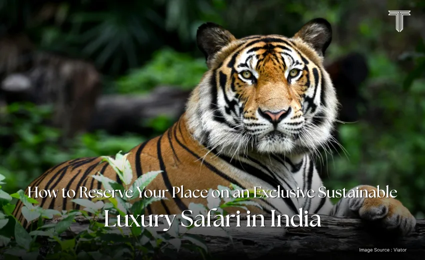 71045 A - Ranthambore National Park - private safari tours